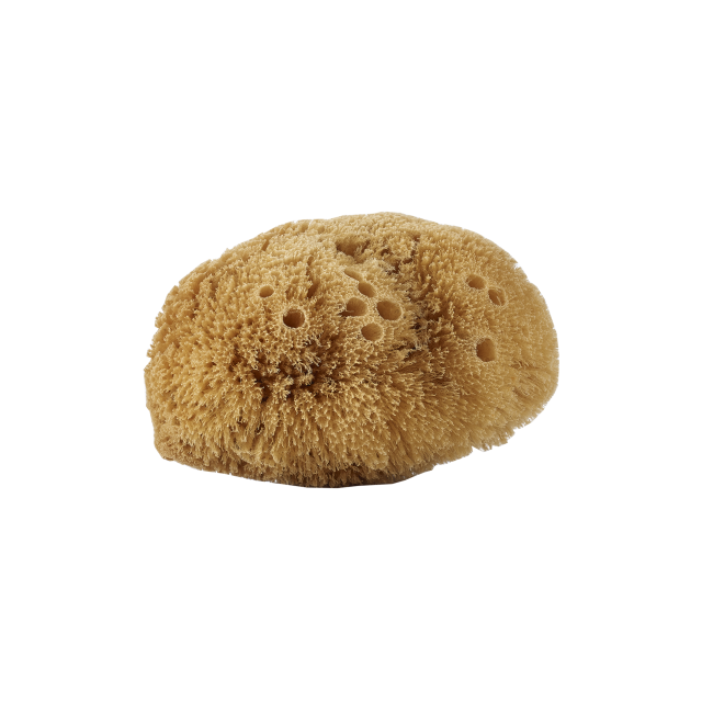 Natural Body Sponge