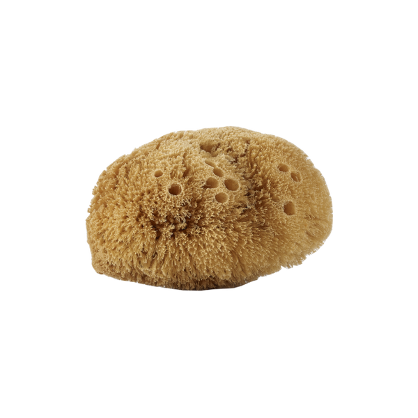 Natural Body Sponge